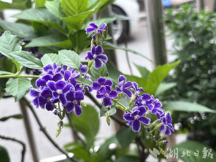 mg线上投注